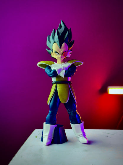 Vegeta red eye tracking 22cm Dragon Ball Z action figure
